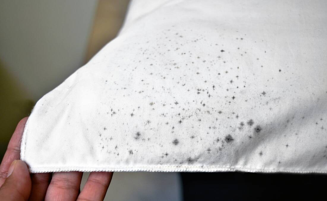 Remove Fungus from Clothes